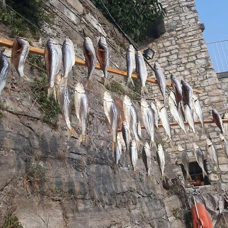 Il Gelsomino